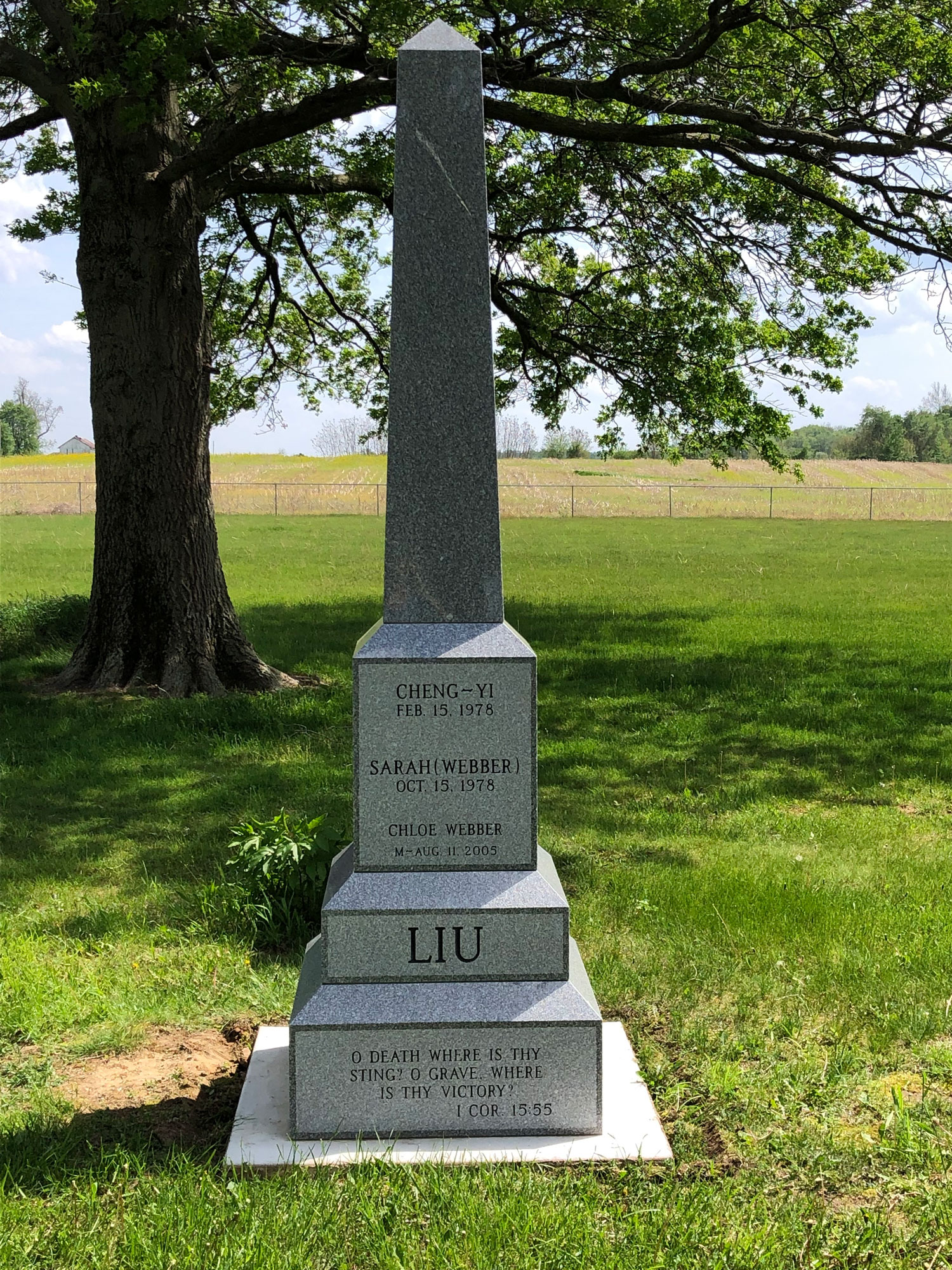 Tall grey granite obelisk on a stepped base standing under an oak tree at the edge of a cemetery